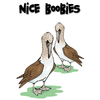 Nice Boobies
